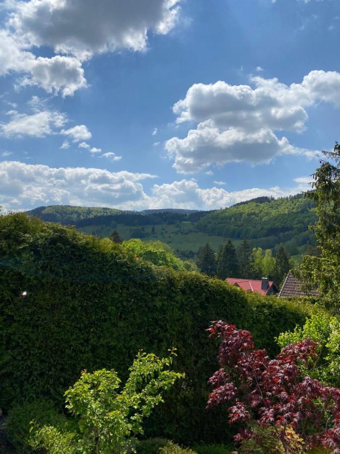 Vila Hills Hut Langelsheim Exteriér fotografie
