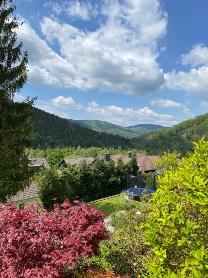 Vila Hills Hut Langelsheim Exteriér fotografie